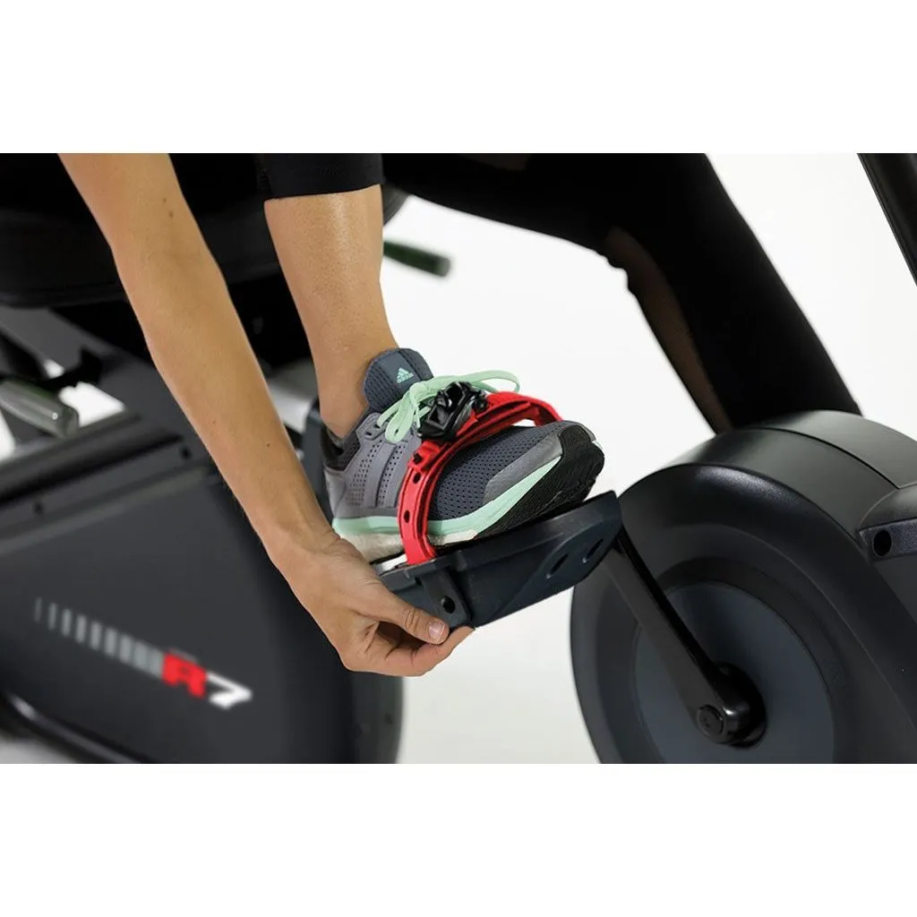 Circle Fitness R7 Commercial Recumbent Bike (CIR-RB7000-C)