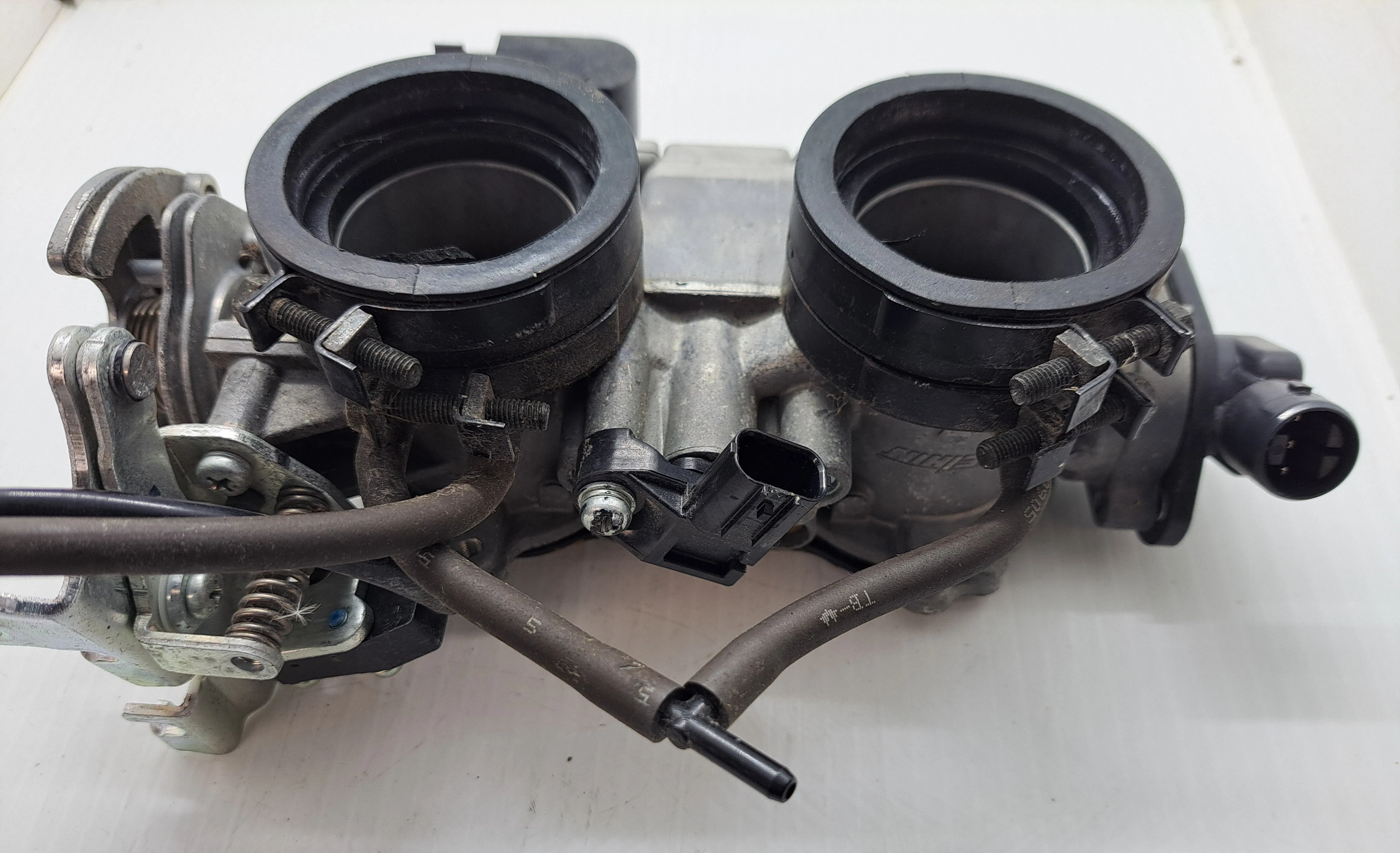 GL1800 Throttle Body