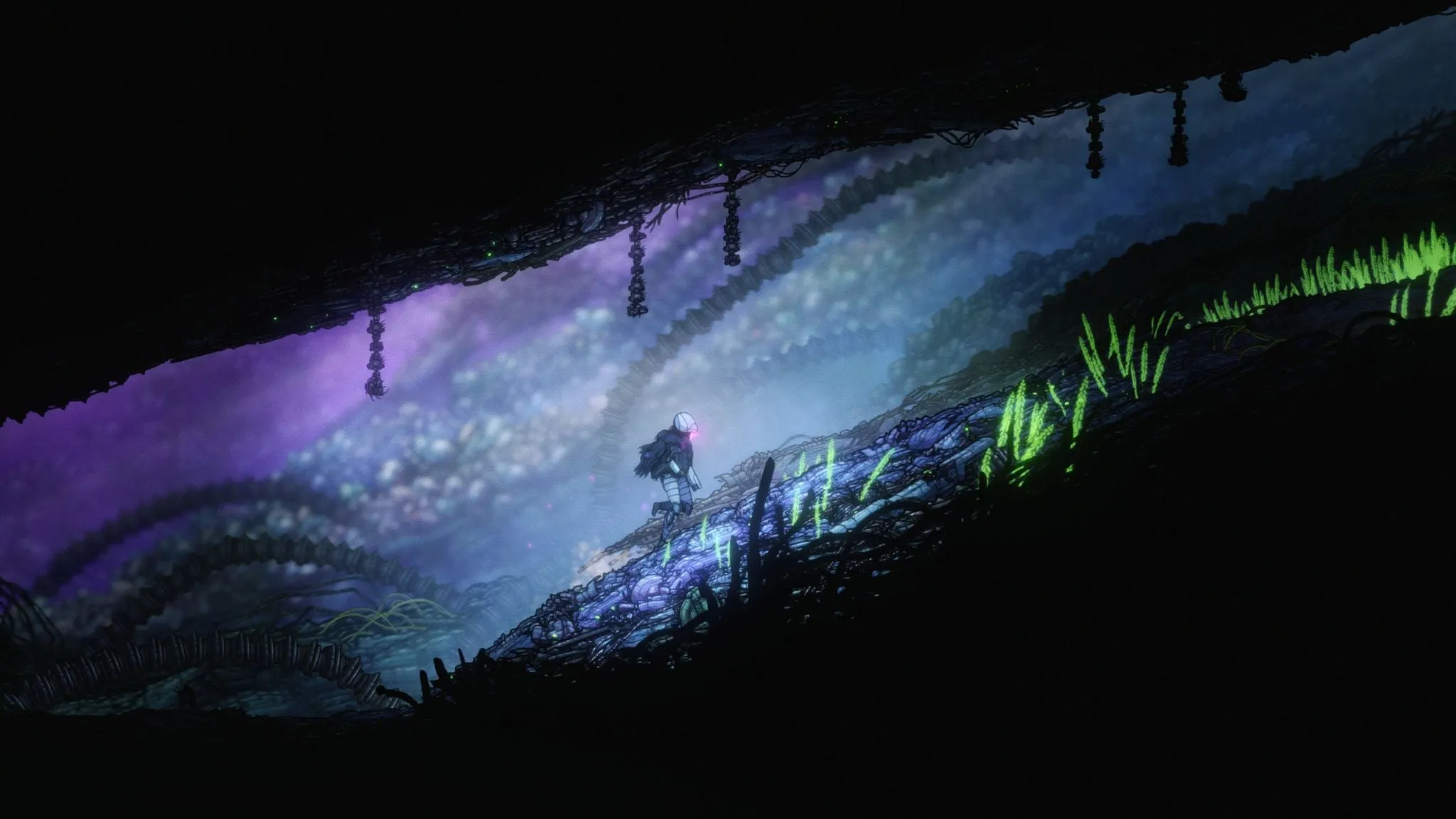 NSW Ghost Song (NC16)