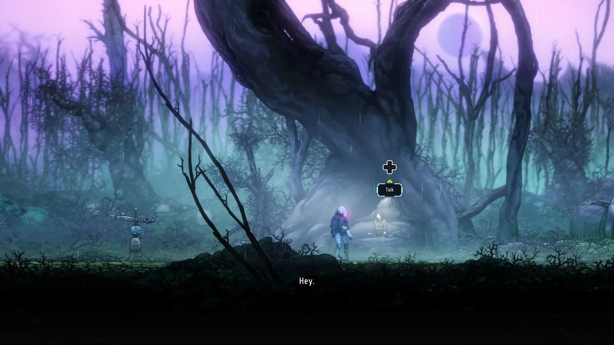 NSW Ghost Song (NC16)