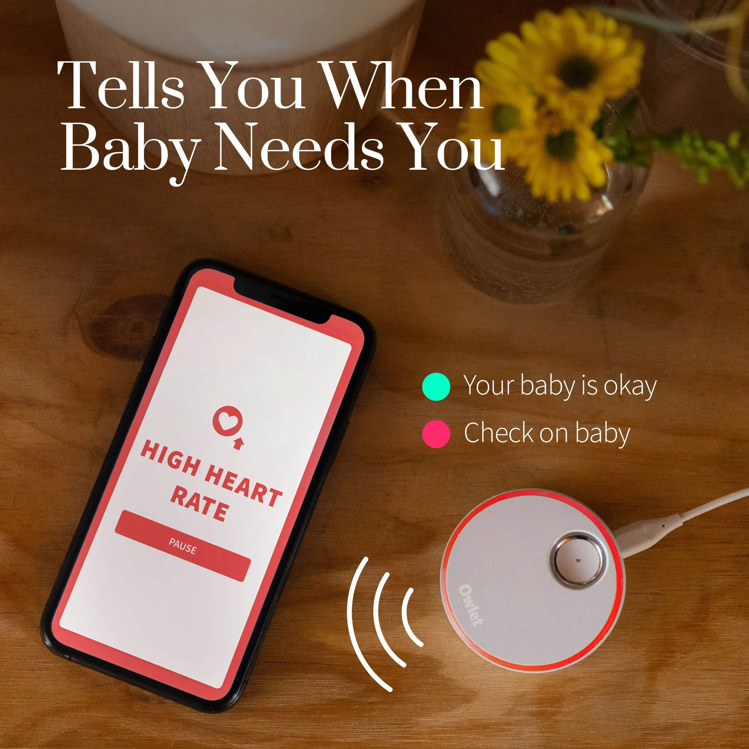 Owlet Monitor Duo 2 Smart Sock 3   Cam 2 HD Video Camera